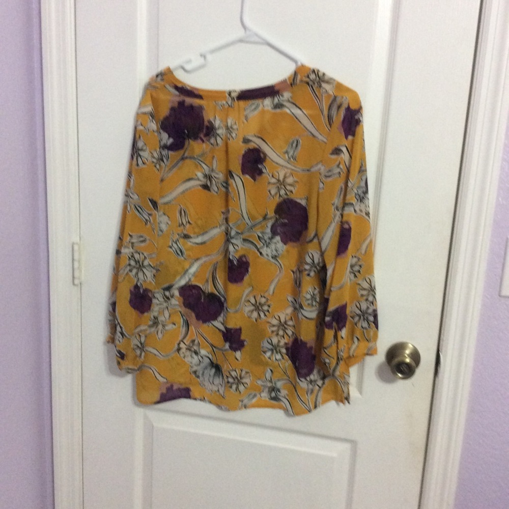 Spring sheer blouse! - Picture 3 of 3